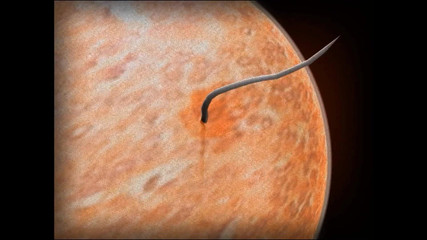 Velvixian3Futanari: Ngentot habis-habisan di penjara bawah tanah (waria futa)