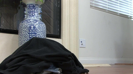 Massive black sex LTG: Sürtükler büyük sert siyah yarağa bayılıyor #4 - birçok sahne