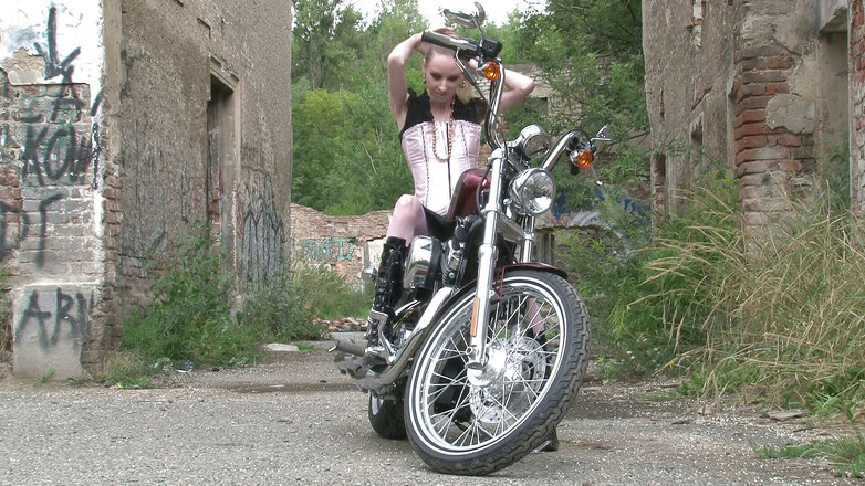 Public Entertainment: Perra en la bicicleta