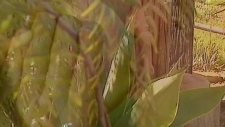 ORGASMX: 섹시한 밀프의 복고풍 섹스, 풀 스쿼트