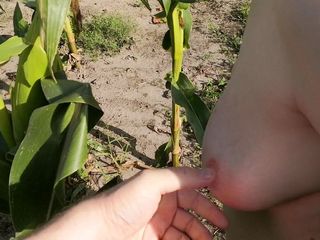 Jana Owens - Extreme BDSM: Slap me in the corn field