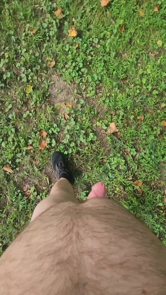 Djk31314: Cammina e sega