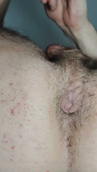 Il maiale si rade il sedere