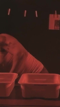 Jessica Drake Never Gets Anough Fat Cock In Her Ass