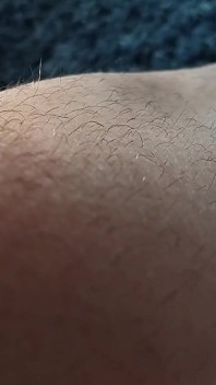 Hairy Legs Tease All Your Senses