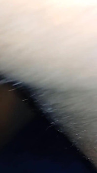 Ma copine reçoit un creampie anal profond