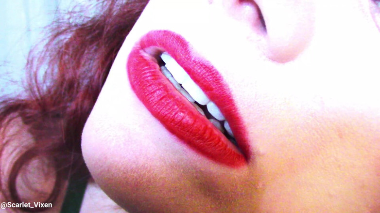 Scarlet Vixen: Poison Ivy milující lízání a polibky