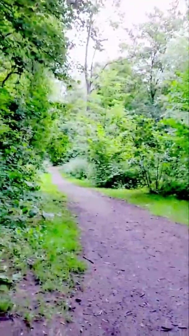 Slutboyben: Slutboyben Cam4セクシーなコック痴女公開