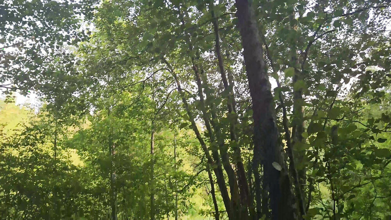 Ethan Lestray: Aku bertemu seorang pria di peron di depan kereta dan...