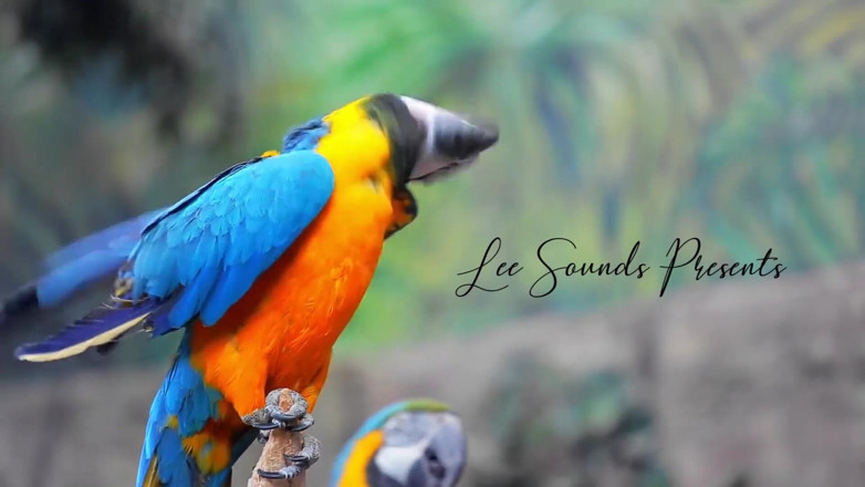 Lee&Aura: She Sounds My Cock in Florida
