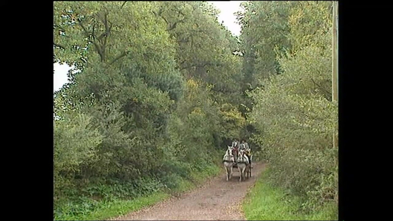 Deutschland porn: 2人のエッチな熟女がモンスターチンポを持つハウスボーイとセックスする