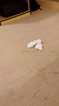 Your Desi Fat Ass Teen Zoya After a Nice Fuck