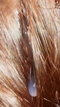 This Natural Remedy Will Strengthen Your Hair! Cumshot on Hair, Brushing Cum Into Hair