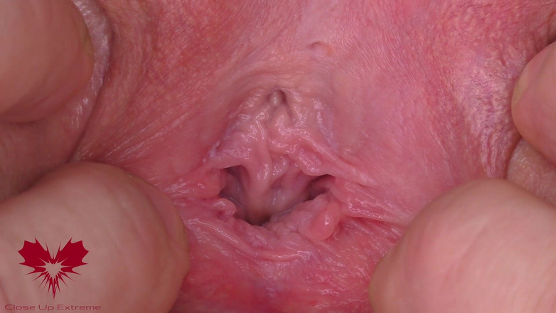 Close Up Extreme: 愛人のおまんこが引き伸ばされています。彼女の大きく開いた猫の極端なクローズアップ。メインビュー