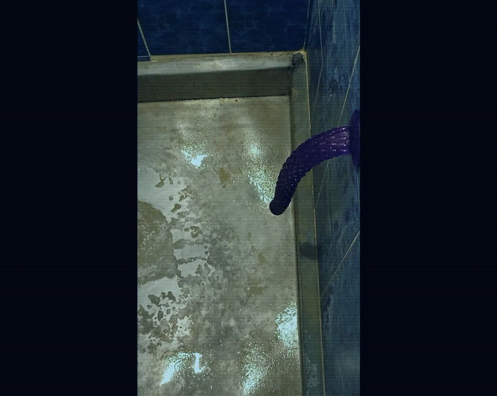 Robert Douglas: Back in the Shower, Playing with My Anus Again...
