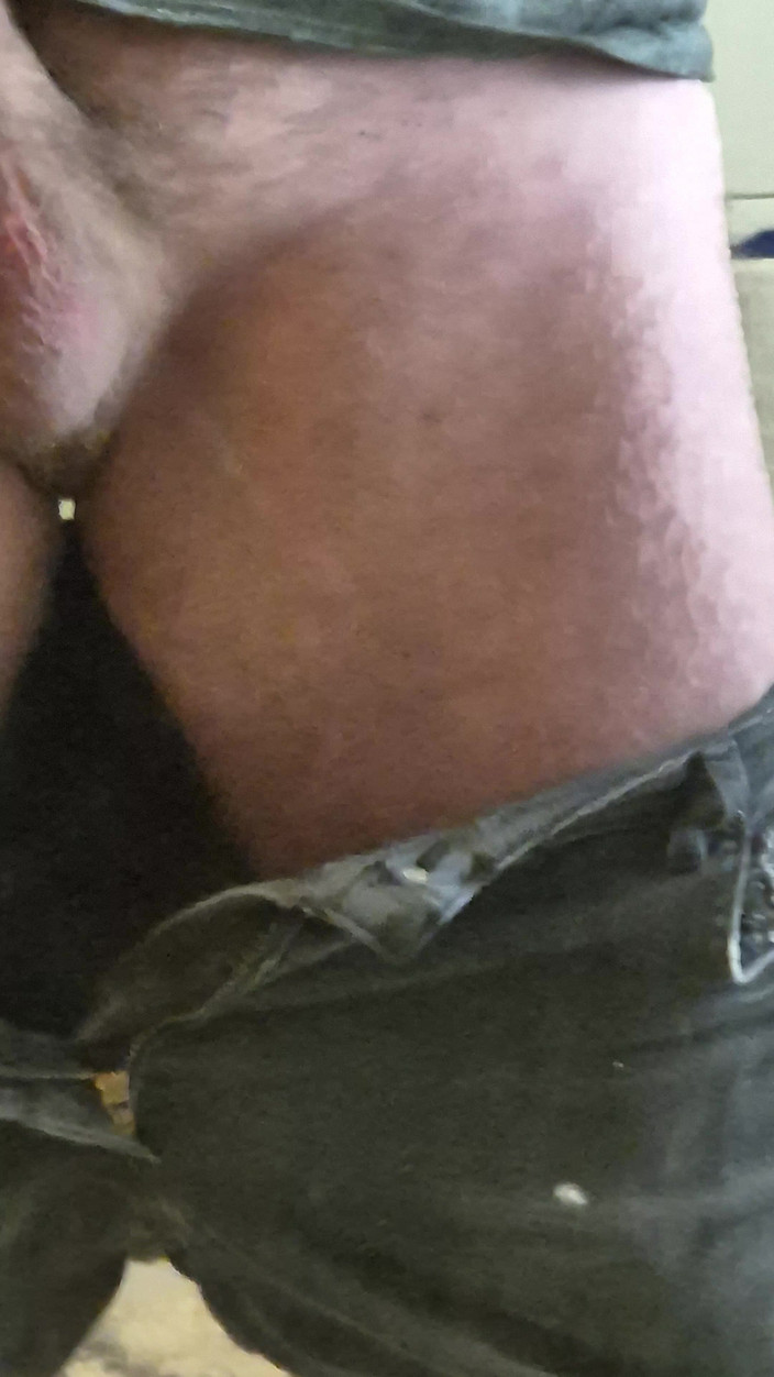 Bjornlive: Tachinare și joacă