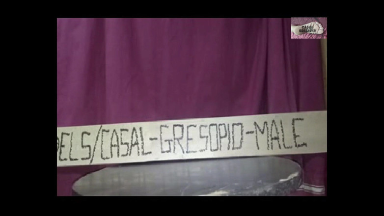 Casal Gresopio Male: Gresopio和他的赤脚