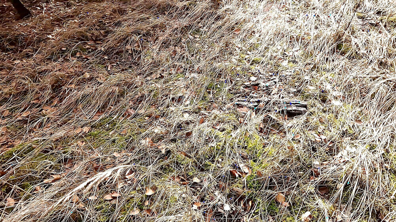 Bouncy Tits Action: 그녀의 젖탱이를 두근으로 만드는 그녀