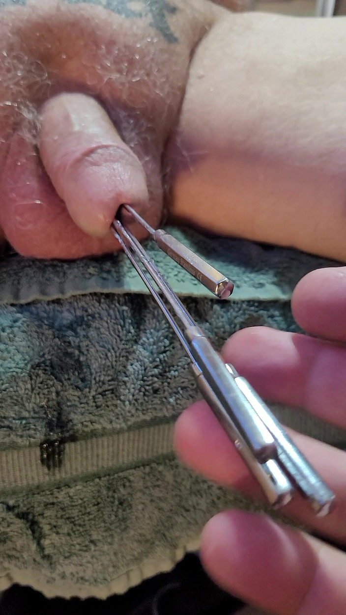 City hog: गेंद की आवाज के साथ ईडी और रोवर