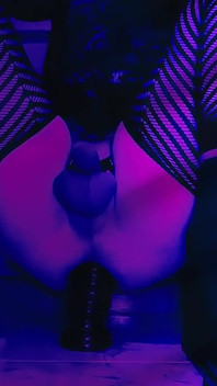 Sissyklove palam dubur besar