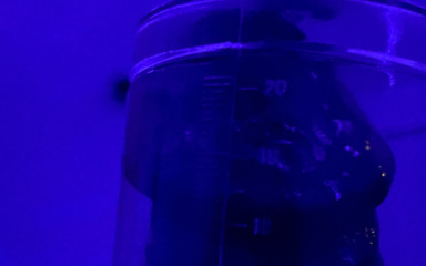 Litebare11: Sesi pam