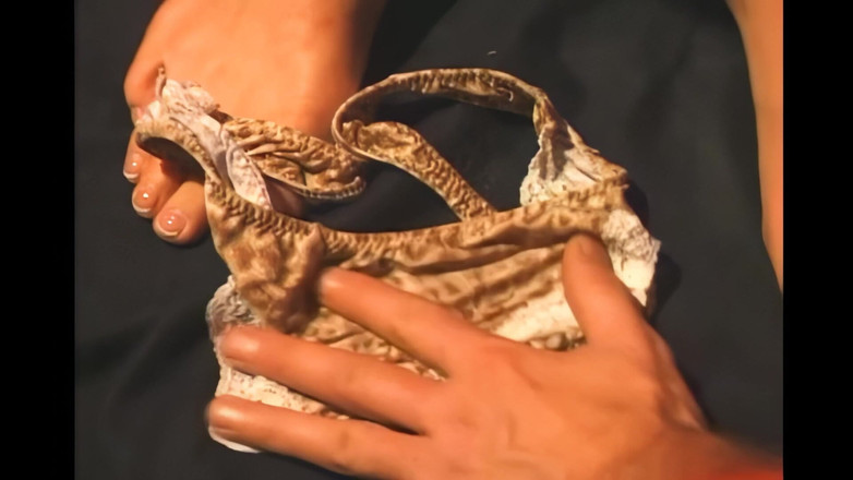 The Lesbians Megastore: Hluboké prstění pro mokré kundičky