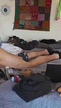 Hung Jock Solo Fucking Sex Doll