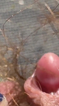 Amateur Hairy Girl Mastubates in Closeup with Huge Clit