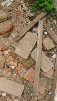 No Panties in the Ruins
