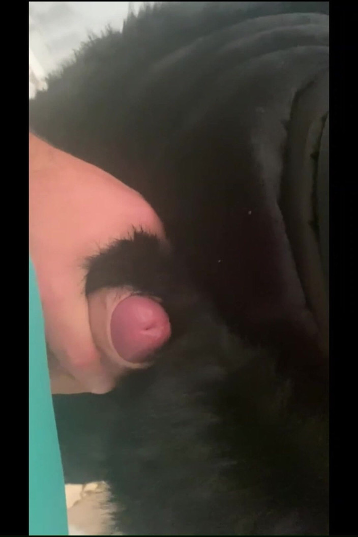 MilfyCalla: milfycalla ep 21 का रोमांच - एक कुतिया को फंसाया गया 2