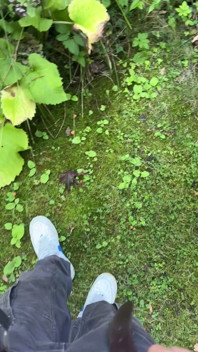 Golden Stream: Peeing in Paradise