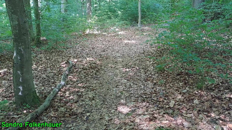 Sandra Falkenhauer: लकड़ी में डिल्डो शॉट