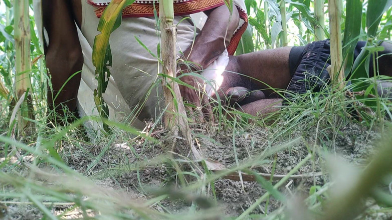 DesiDarkArt: The Village Boy Went to the Cornfield and Hit Him...