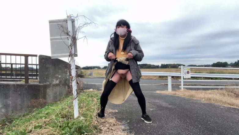 megu2002: 自主トレーニング No33 街道沿いでお漏らし散歩