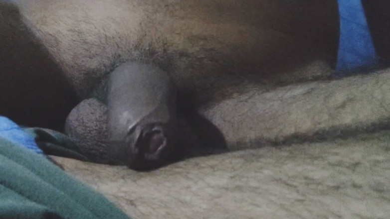 Robbie Dog: Indian Desi Guy Cock for Valentine Day Special