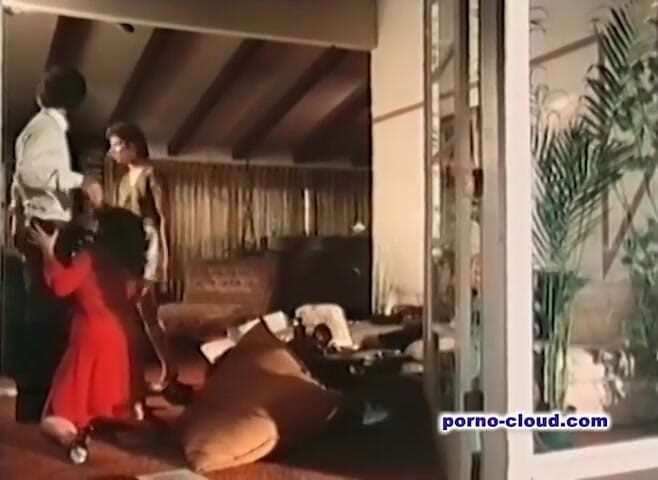 Porno Cloud: Millionairs home story