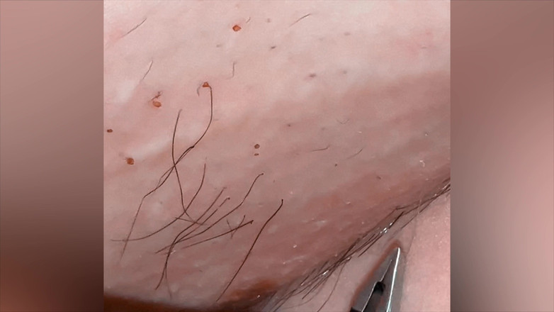 SatisfyingDillyDally: Pulls yang berpuas hati