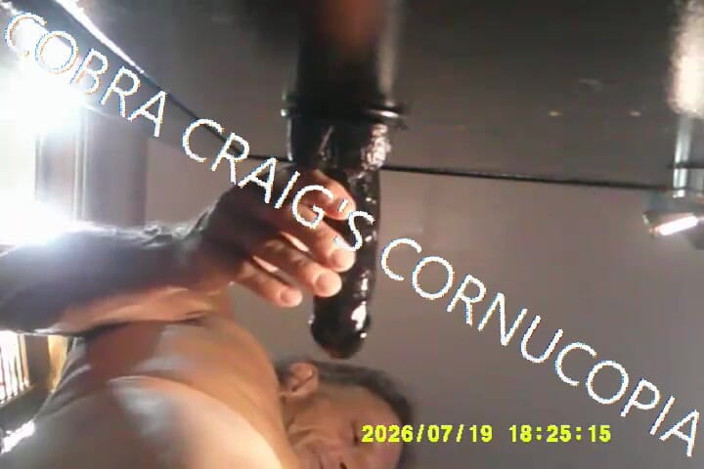 COBRA CRAIG: Upshot Sadly the Closest I Will Ever See to Stepmamma