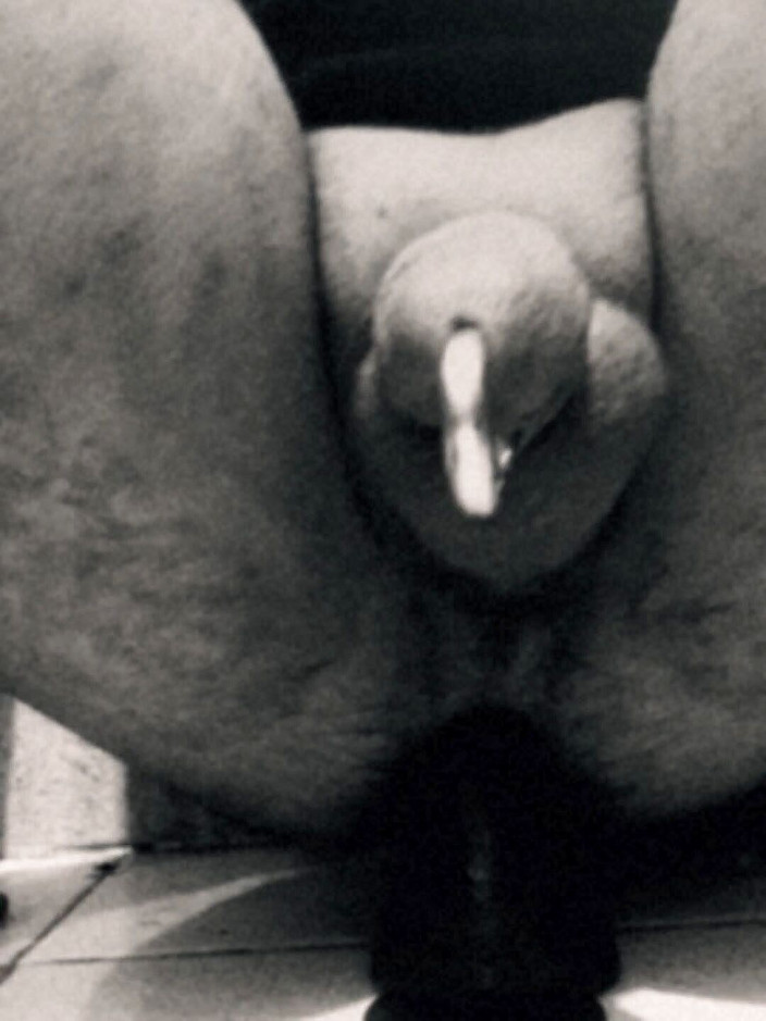 Phillholes: Schwarz-weiß-porno-video