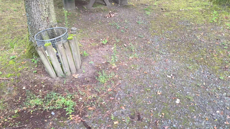 Bouncy Tits Action: Pussy Slapping on Picnic Table
