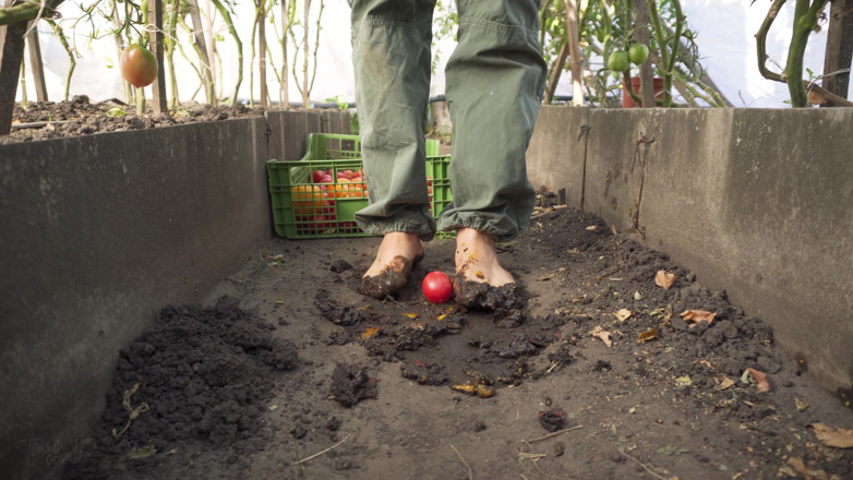 Teasecombo 4K: Écrasement de tomates pieds nus dans la saleté ASMR