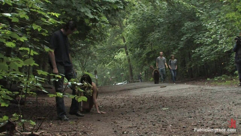 Public Disgrace by Kink: Spacer z psami