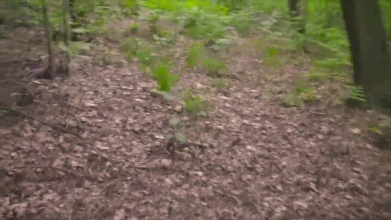 BELLOeBIOTTO: Xuất tinh đẹp và dài, cởi trần, trong một khu rừng...