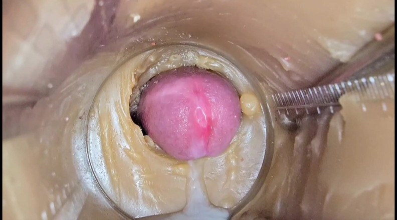 Creme sperm: En Iyi Derleme Crempie Amcık - 4K'nın Içindeki Kamera