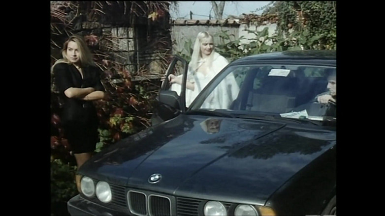 Vintage megastore: Máy bay bà già xinh đẹp với xỏ lỗ trên âm hộ đầy...