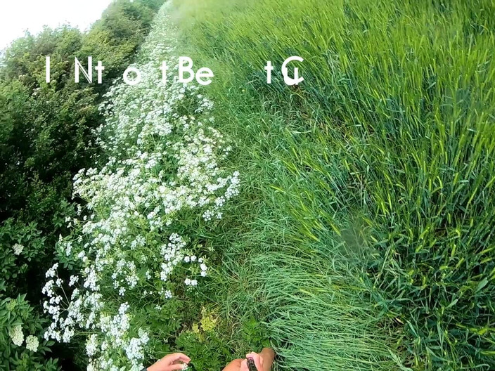 Andy: 步行 29 2025