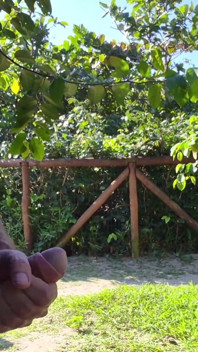 Risky Handjob for a Hot Babe in the Park!