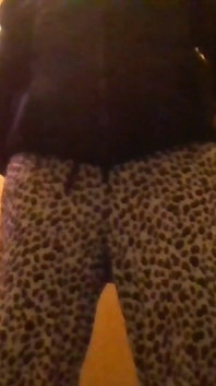 Black Panty