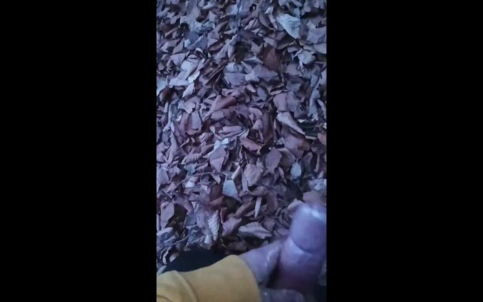 kickerscooter: Gerçek erkek amatör açık havada mastürbasyon
