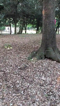 Kacau oleh orang cabul di sepanjang landasan kereta api